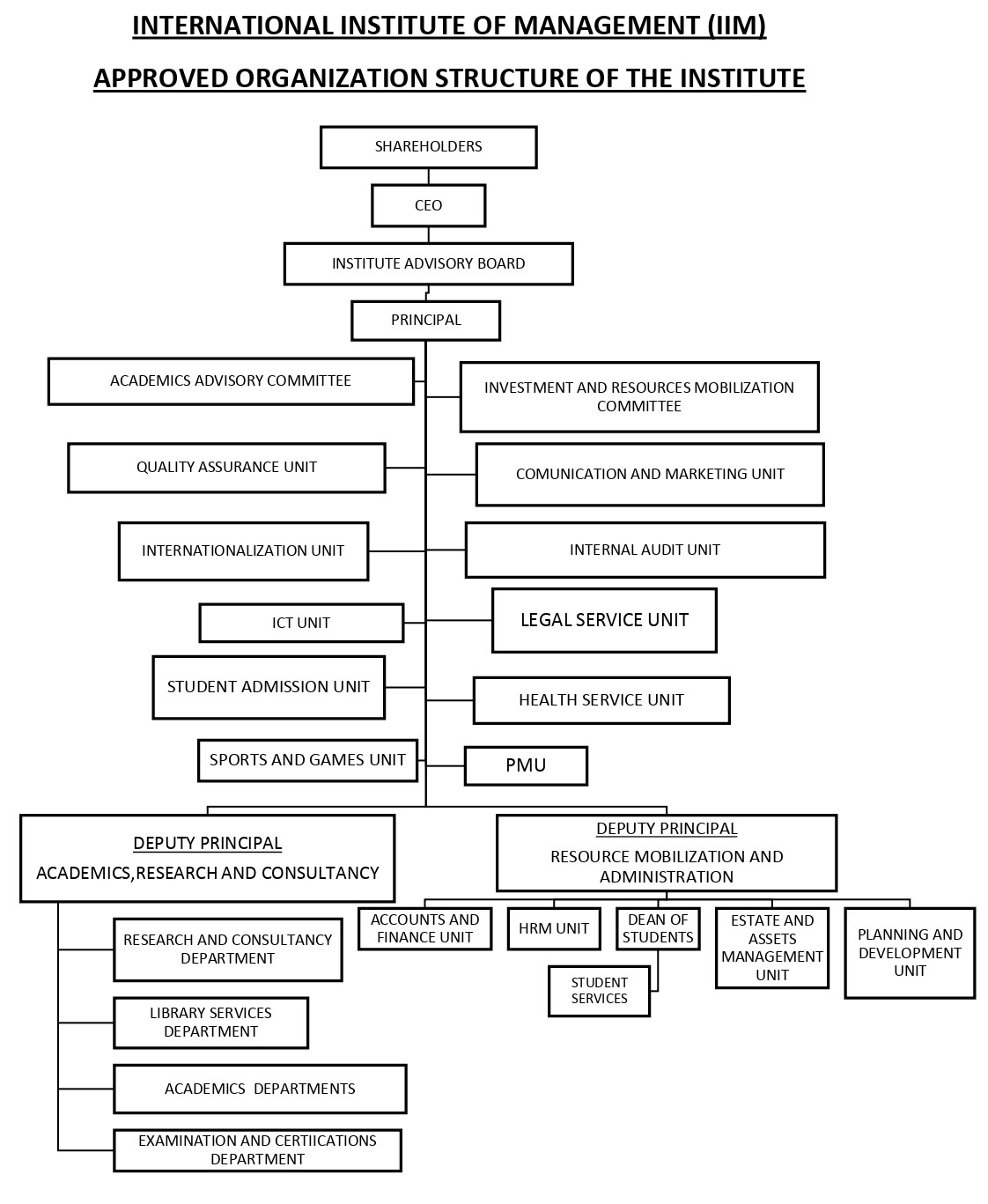 Organization Structure
